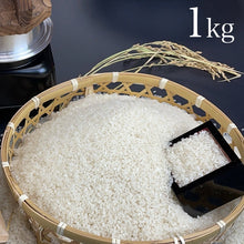 画像をギャラリービューアに読み込む, 産地直送 | 南魚沼産 塩沢地区限定 しおざわコシヒカリ 1kg