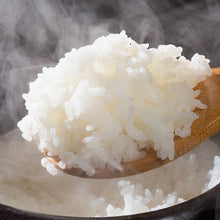 画像をギャラリービューアに読み込む, 産地直送 | 2025年度 新米 南魚沼産 塩沢地区限定 しおざわコシヒカリ 10kg